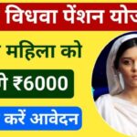 UP Vidhwa Pension Yojana 2024